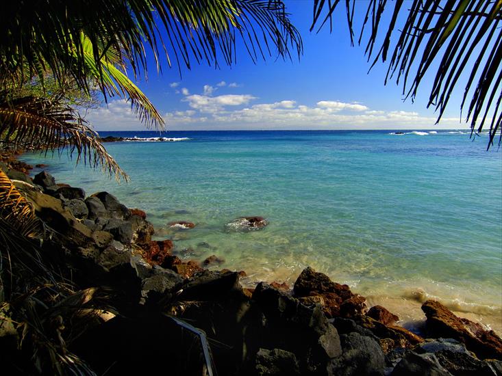 Galeria Tropiki - Palm Lagoon, Maui, Hawaii.jpg