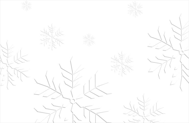 corel - paper_floral_white_christmas_background7s_vector.jpg