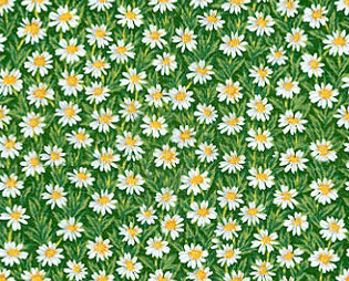 Kwiatowe - daisy54.jpg