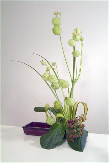 ikebana - z4481732X.jpg