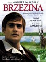 FILM Polski lata 50-80 - Brzezina.jpg