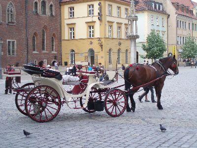 Dorożki i inne pojazdy - Wroclaw  - dorozki w Rynku.jpeg