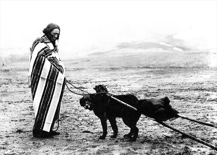 3 - Lakota-Woman-And-Dog-Travois-Rosebud-Reservation-800x571.jpg