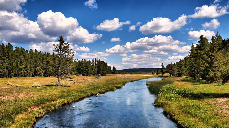 Tapety HD i 3D  Różne rozdzielczosci - g01992_grizzlyriver_1920x1080.jpg