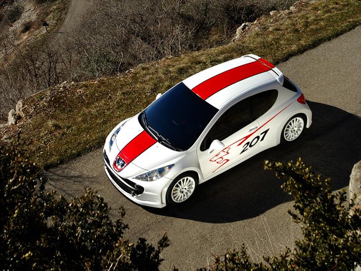Wallpapers pack - Peugeot_207_RCup_1280x960.jpg