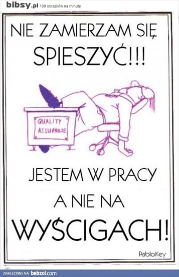 bipsy - Bibsy.pl_-_100_obrazk_w_na_minut_-16.jpg