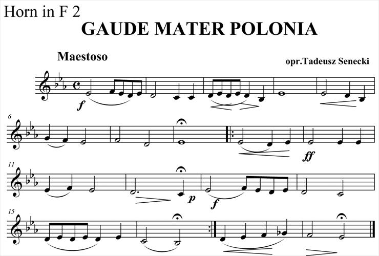 Gaude mater polonia glosy - Finale 2006 - róg 2 f.jpg