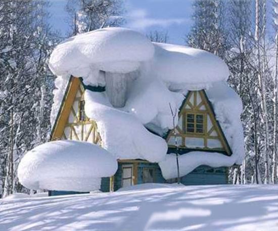  Zima - winter-winter--snow_large.jpg