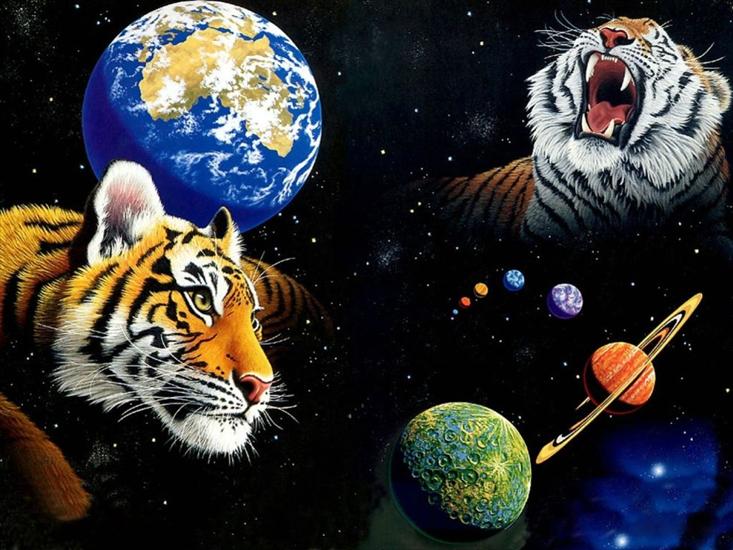 Zwierzęta - Tygryski.jpg