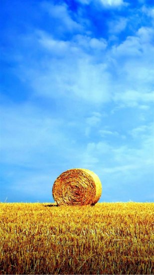 1080x1920 tapety android - z-wallpaper-full-hd-1080-x-1920-smartphone-bale-of-hay.jpg
